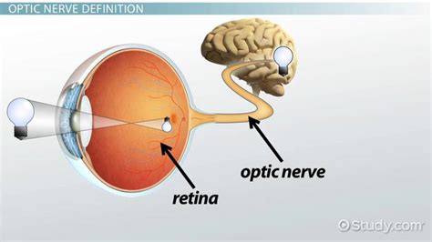 how to detect optic nerve damage